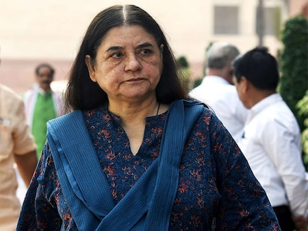 Maneka Gandhi (Bharatiya Janata Party)